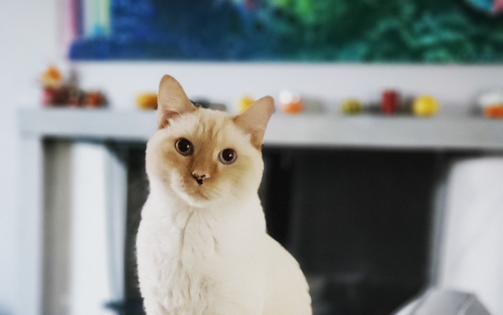 Boosa Explains Where the Name Boosa Came From