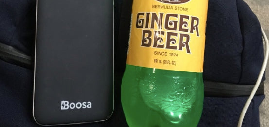 Boosa on the Beaches of Bermuda