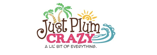 Boosa Power Bank Review on Just Plum Crazy